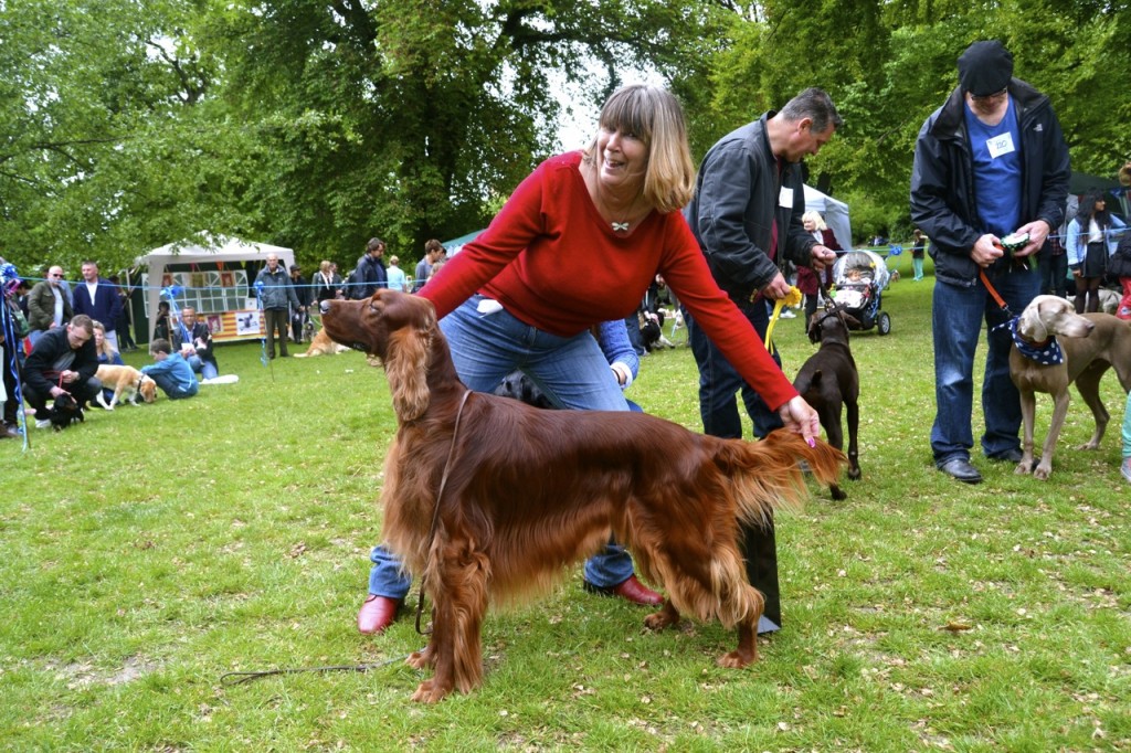 Frazer: Best In Show, Bark In The Park 2013, with owner Maria Williams